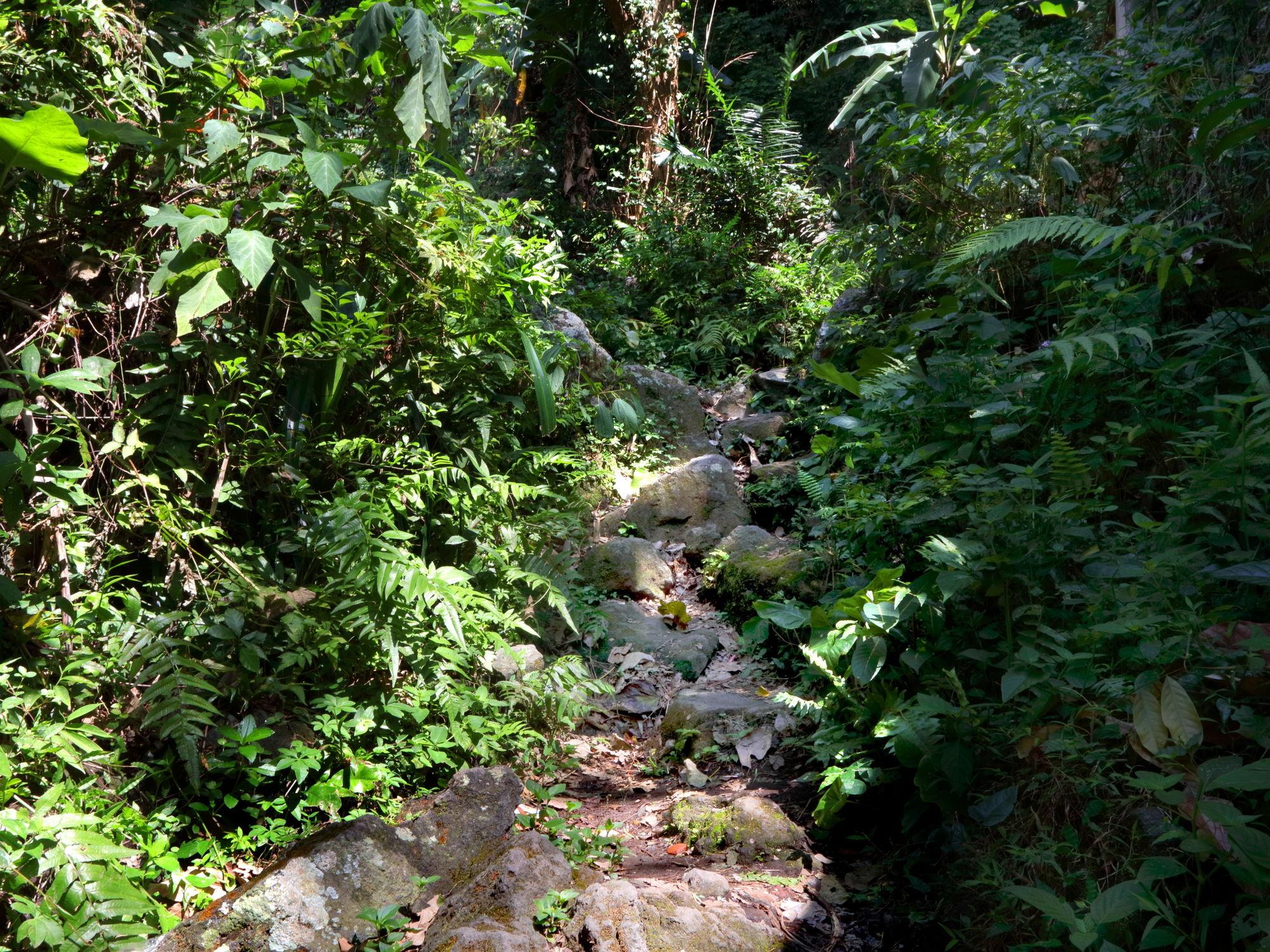 Mimpi Resort Tulamben Luaran gambar