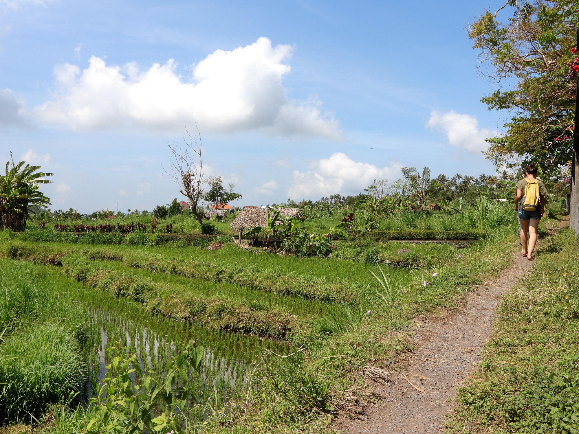 Mimpi Resort Tulamben Luaran gambar